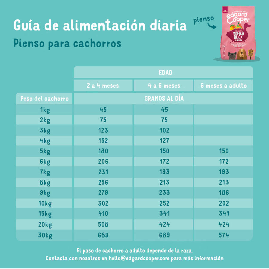 12 kg Edgard & Cooper Puppy Ra&ccedil;&atilde;o de salm&atilde;o e peru para cachorros, , large Imagem n&uacute;mero 5