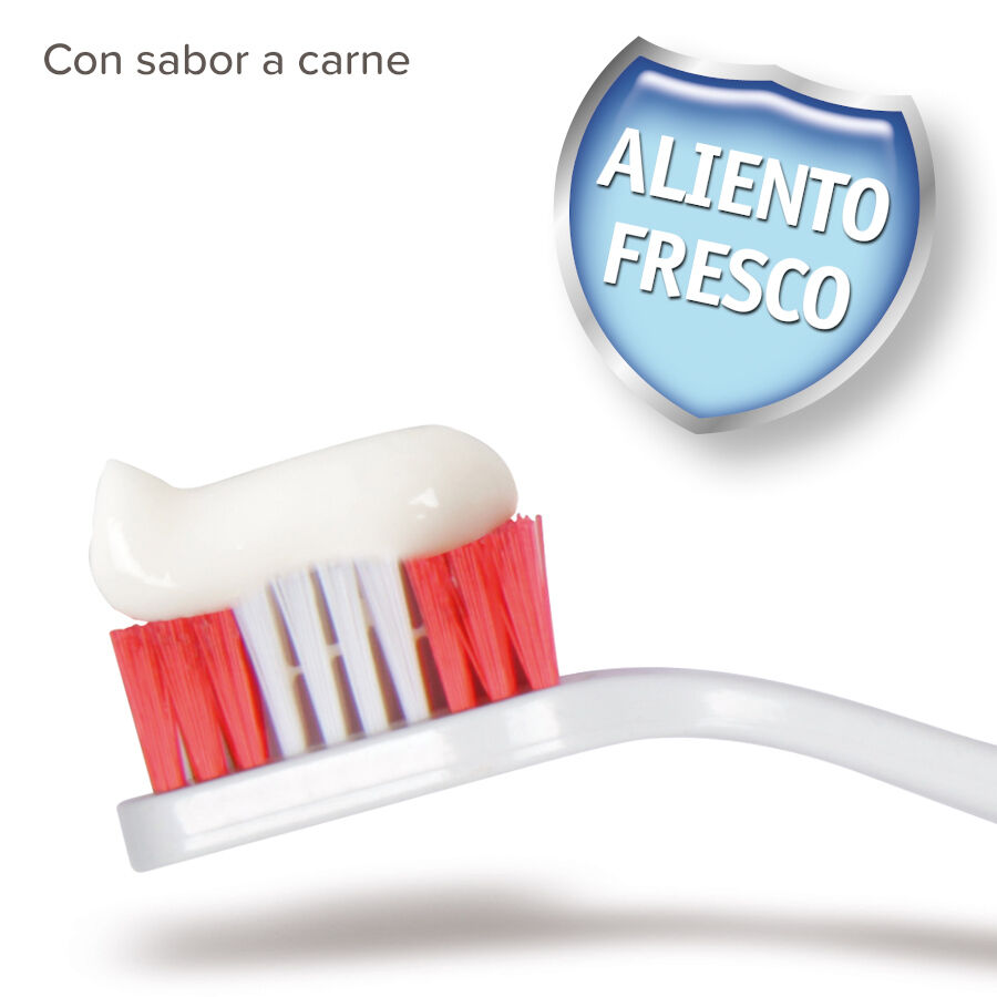 Beaphar Kit de Limpeza Dent&aacute;ria para cachorros , , large Imagem n&uacute;mero 2