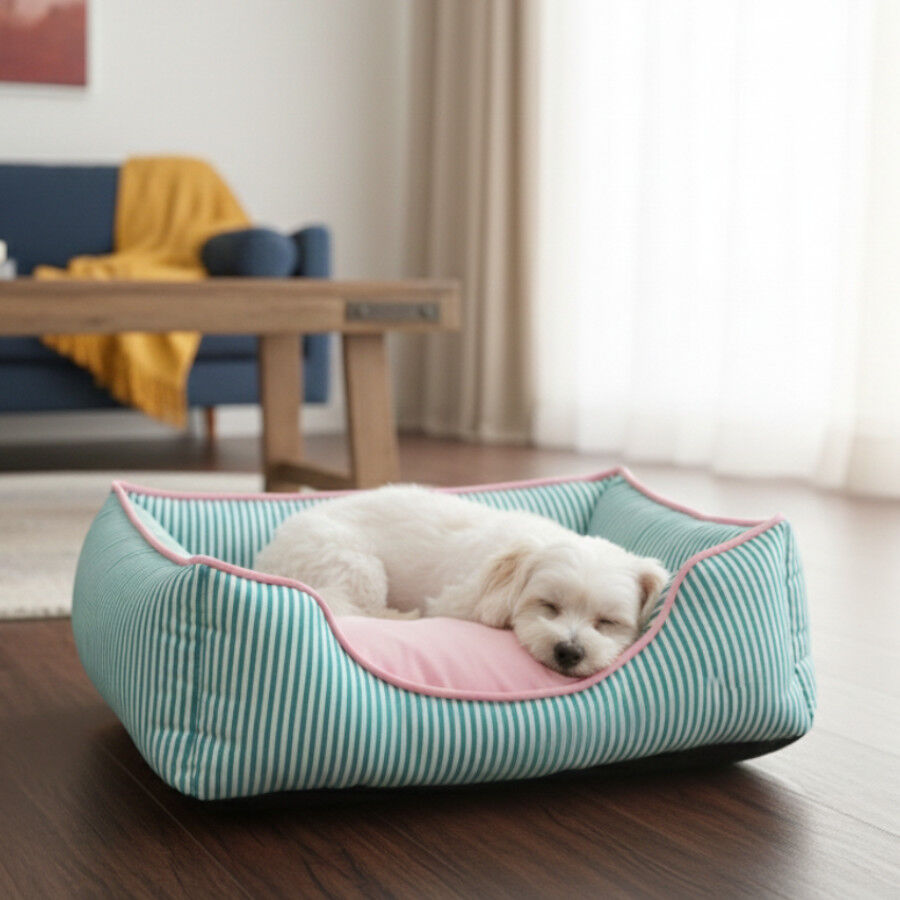 Leeby Cama riscas finas para c&atilde;es, , large Imagem n&uacute;mero 1
