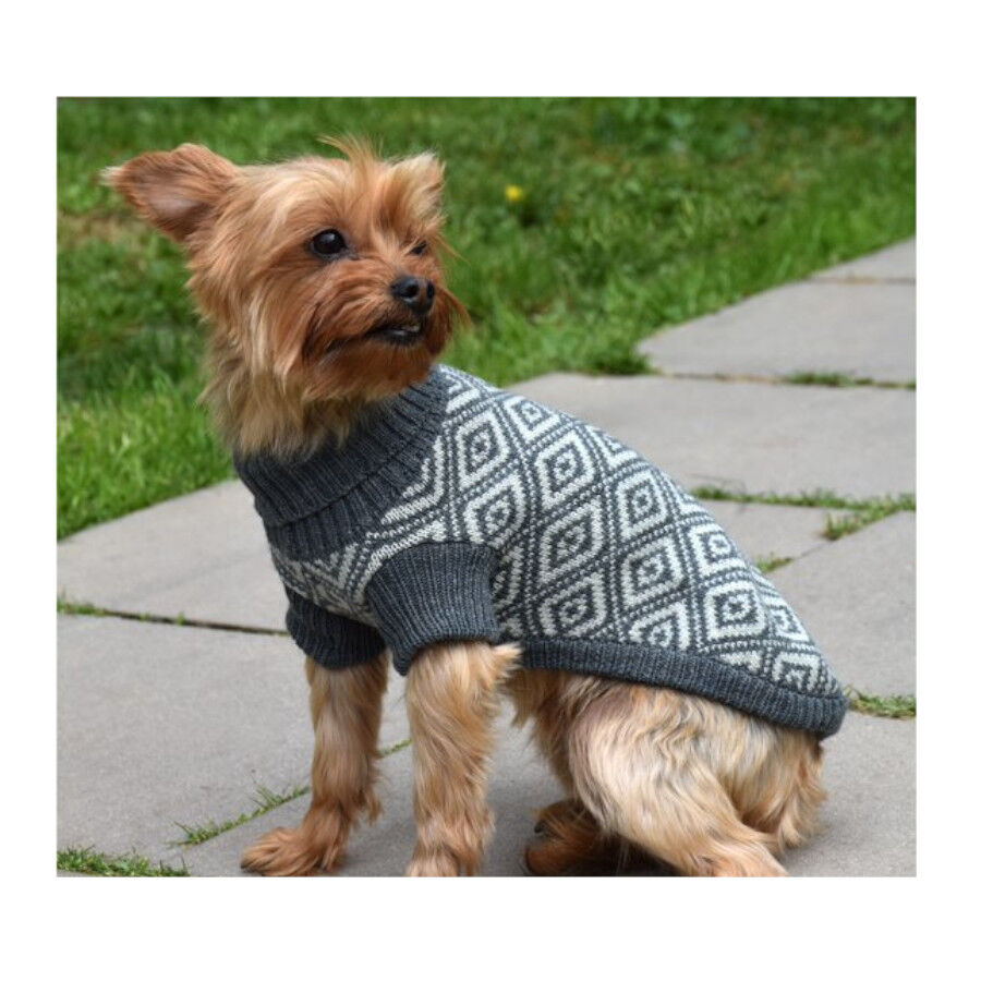 Nayeco Ecoline Geom&eacute;trico Camisola para c&atilde;es, , large Imagem n&uacute;mero 2