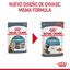 85 g Royal Canin Hairball alimento húmido em molho saquetas para gatos, , large Indicador imagem número 10