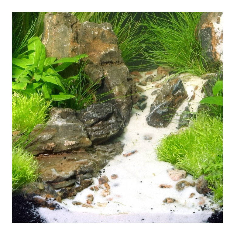 JBL Sansibar Substrato Branco para aquários,  Imagem número 3 JBL Sansibar Substrato Branco para aquários, , large Imagem número 3