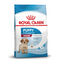 15 kg Royal Canin Puppy Medium ração para cães, , large Indicador imagem número 1