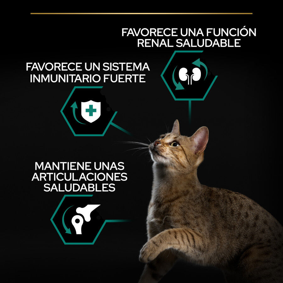 1.5 kg Pro Plan Adult Renal Plus Frango ra&ccedil;&atilde;o para gatos, , large Imagem n&uacute;mero 3