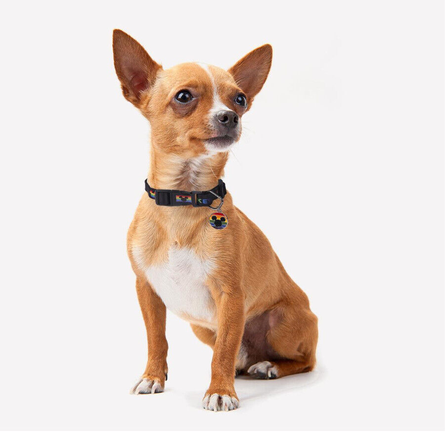 Disney Pride Coleira para c&atilde;es, , large Imagem n&uacute;mero 2