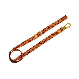Dukier Cheetah trela para cães