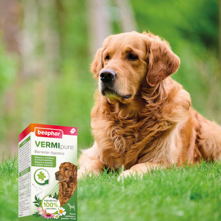 Beaphar Vermipure Repelente Interno Natural em comprimidos para c&atilde;es de porte m&eacute;dio e grande, , large Imagem n&uacute;mero 7