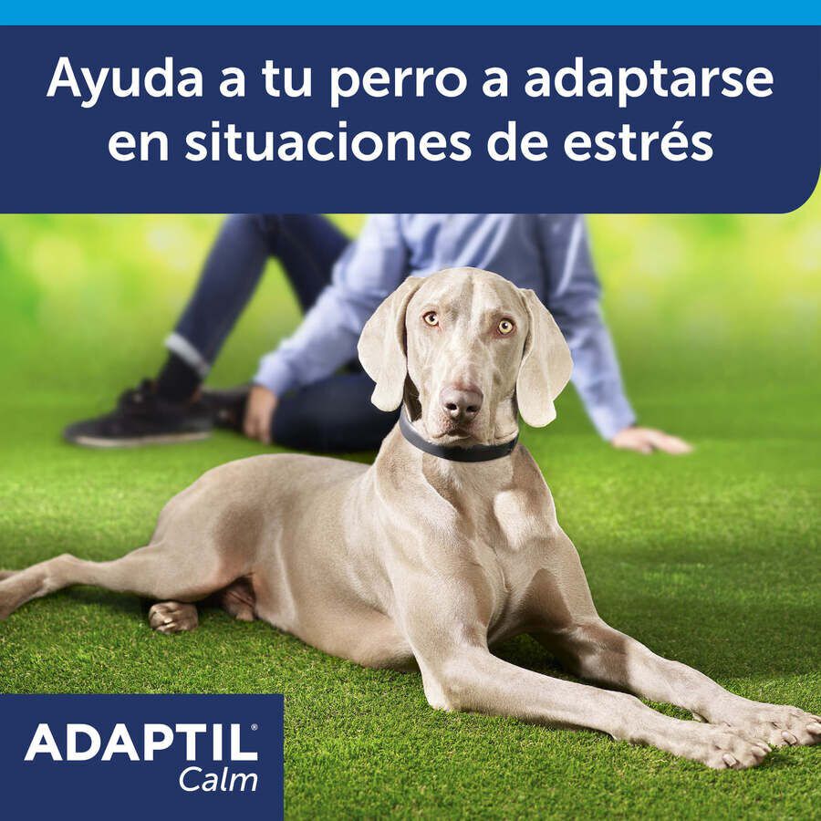 Adaptil Calm Coleira Relaxante para c&atilde;es, , large Imagem n&uacute;mero 2