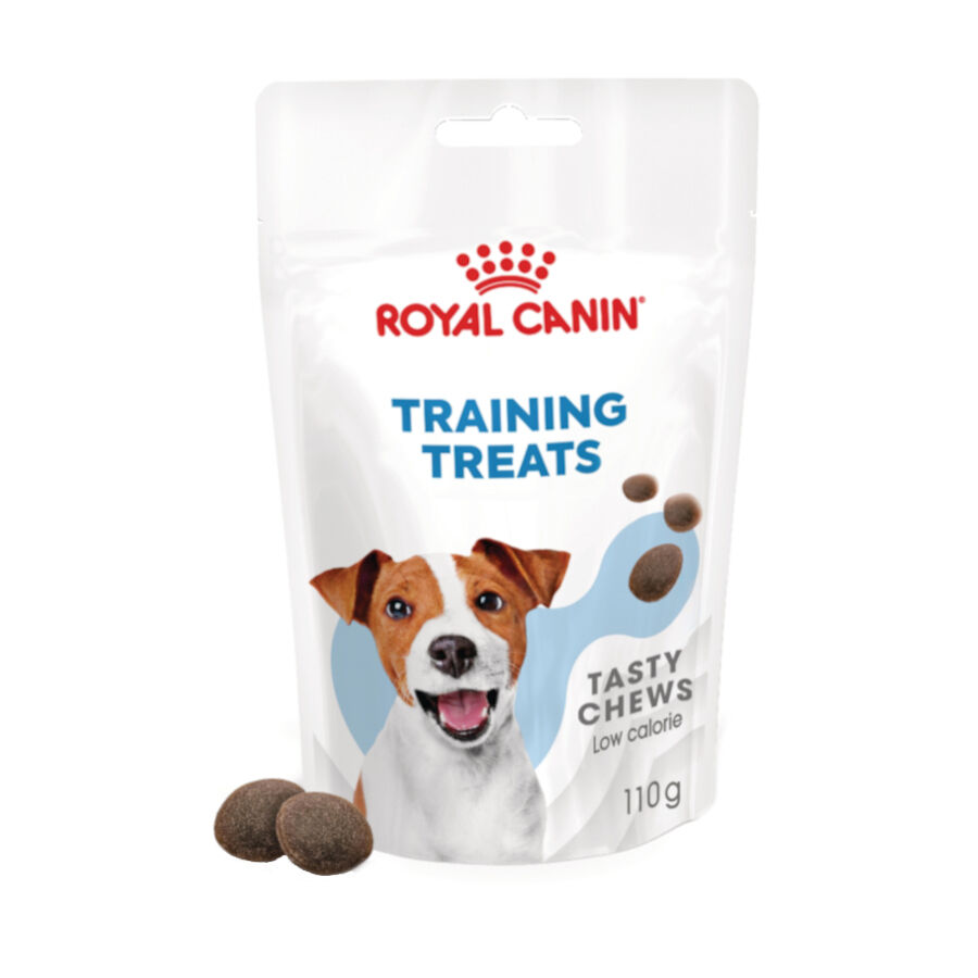 110 g Royal Canin Training snacks para c&atilde;es, , large Imagem n&uacute;mero 2