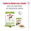 3 kg Royal Canin X-Small Adult ração para cães, , large Indicador imagem número 7