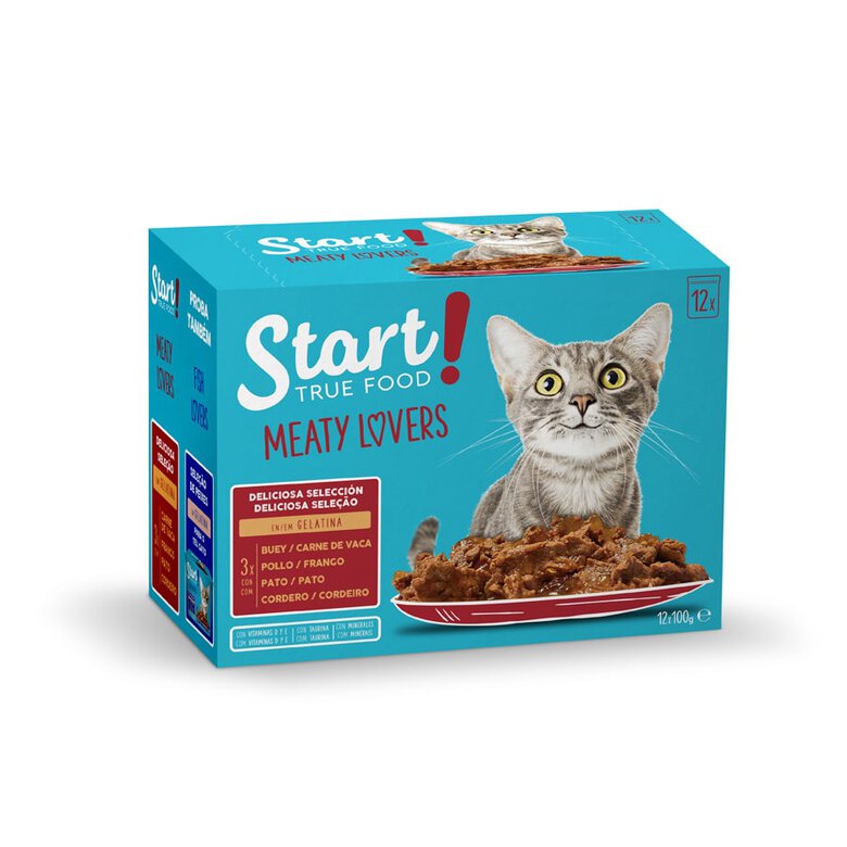 Start Seleção de Carnes em saquetas com gelatina para gatos, , large image number null