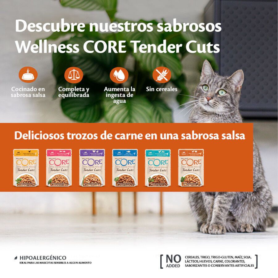  85 g Wellness Core Tender Cuts frango e salm&atilde;o saquetas para gatos, , large Imagem n&uacute;mero 3