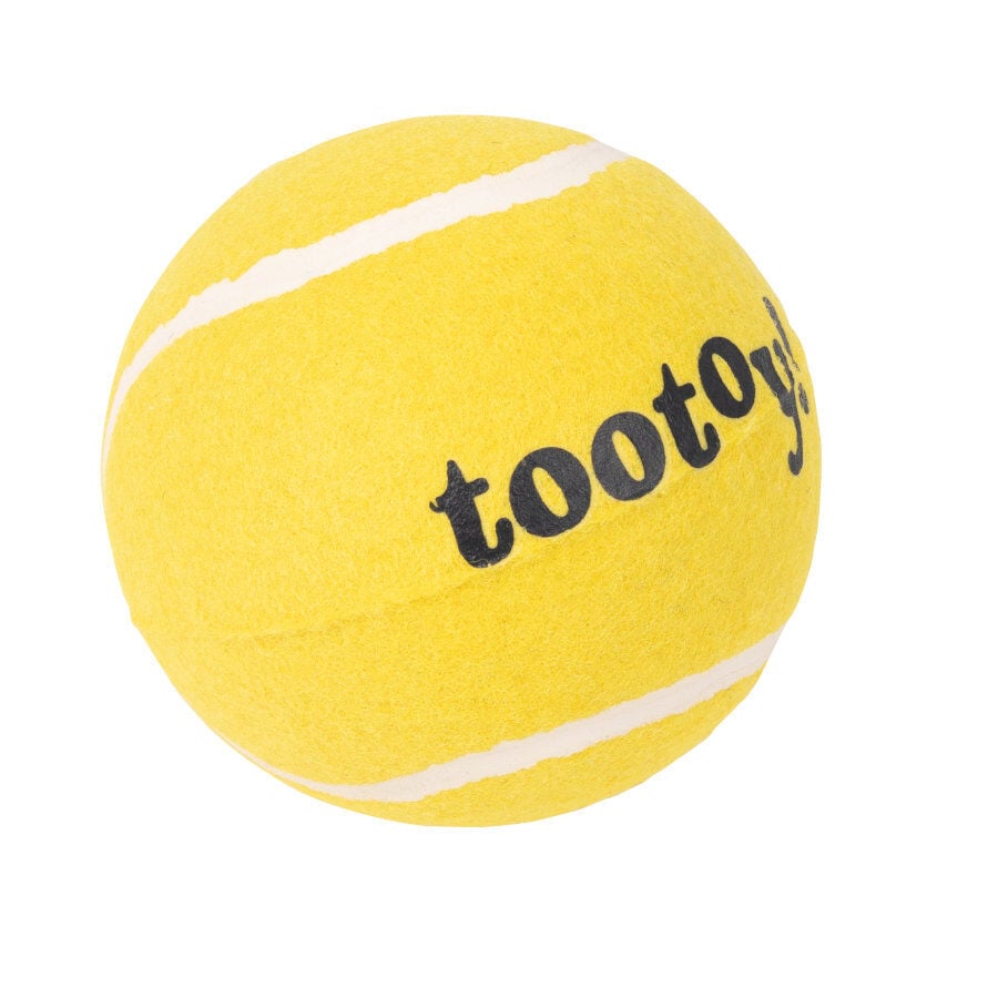 Tootoy! Chase Super Ball bola de t&eacute;nis grande para c&atilde;es, , large Imagem n&uacute;mero 2