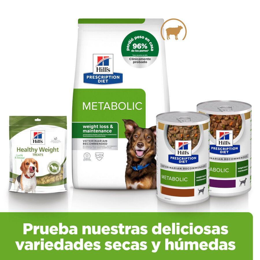Hill's Prescription Diet Metabolic cordeiro e arroz ra&ccedil;&atilde;o para c&atilde;es, , large Imagem n&uacute;mero 9