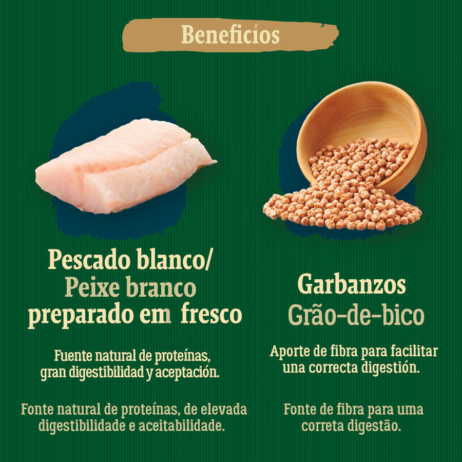 True Origins Wild Golden Coast ra&ccedil;&atilde;o de peixe branco para c&atilde;es, , large Imagem n&uacute;mero 5