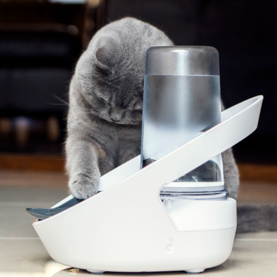 Sure Petcare Felaqua Connect Bebedero Autom&aacute;tico para gatos Imagem n&uacute;mero 6
