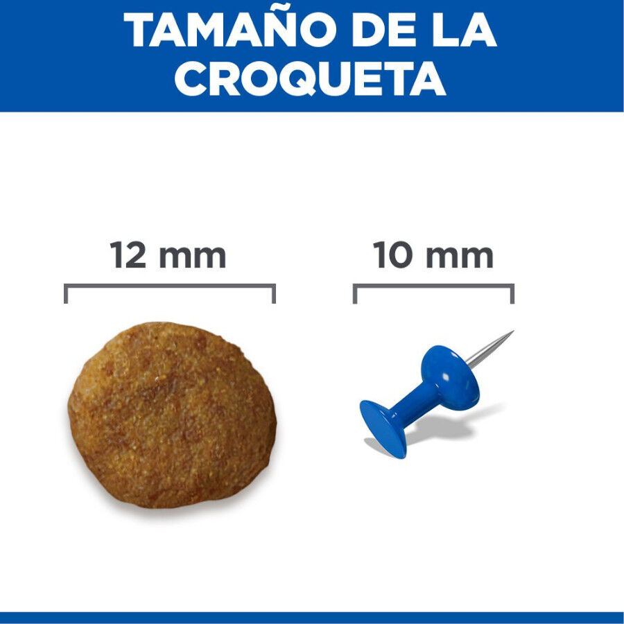 2 x 14 kg Hill's Science Plan Medium Mature Adult Frango ra&ccedil;&atilde;o para c&atilde;es Pack poupan&ccedil;a!, , large Imagem n&uacute;mero 9