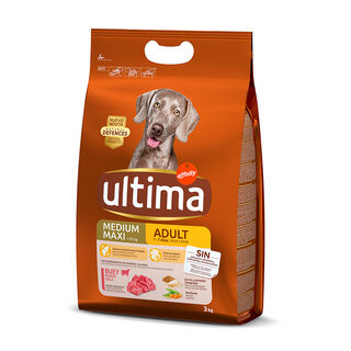 Ultima Adult vaca