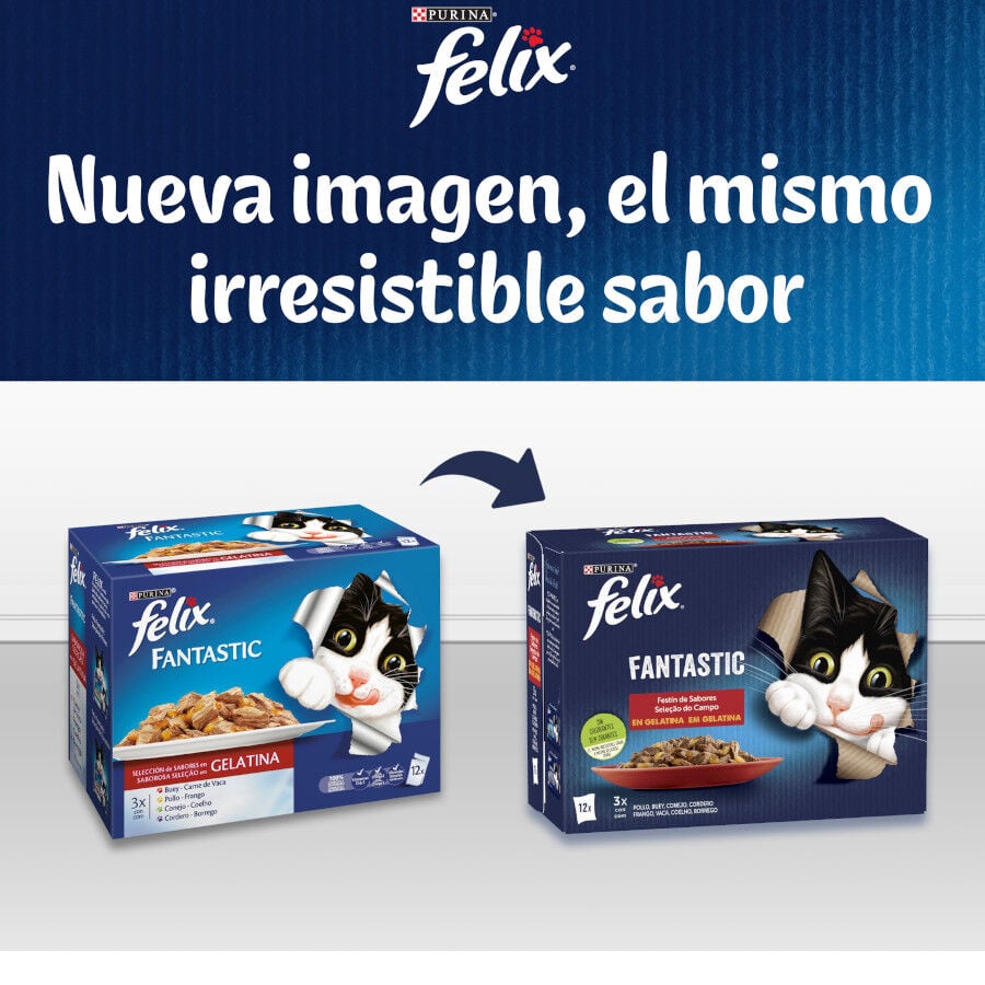12 saquetas x 85 g Felix Fantastic Sele&ccedil;&otilde;es Favoritas saquetas em geleia, , large Imagem n&uacute;mero 8