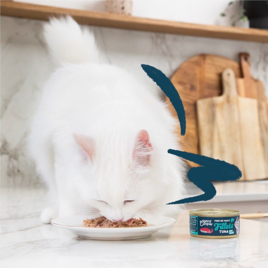 70 g Edgard & Cooper Alimento h&uacute;mido de atum e lula em lata para gatos, , large Imagem n&uacute;mero 3