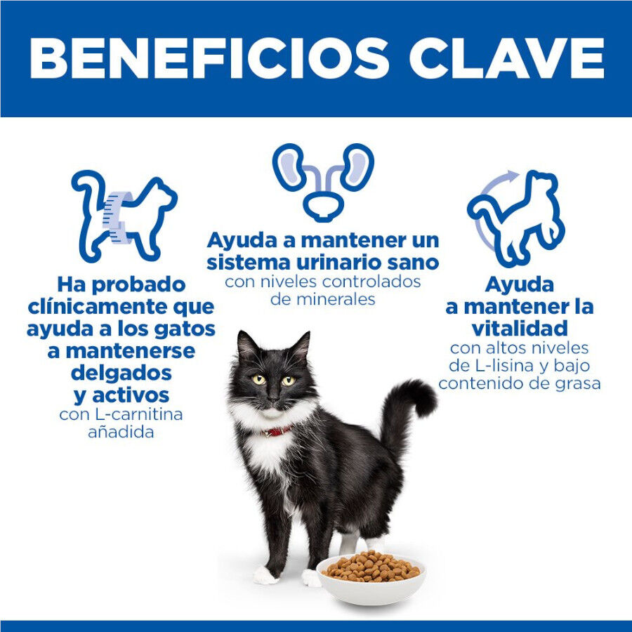 1.5 kg Hill's Mature Adult Science Plan Sterilised Frango ra&ccedil;&atilde;o para gatos, , large Imagem n&uacute;mero 5