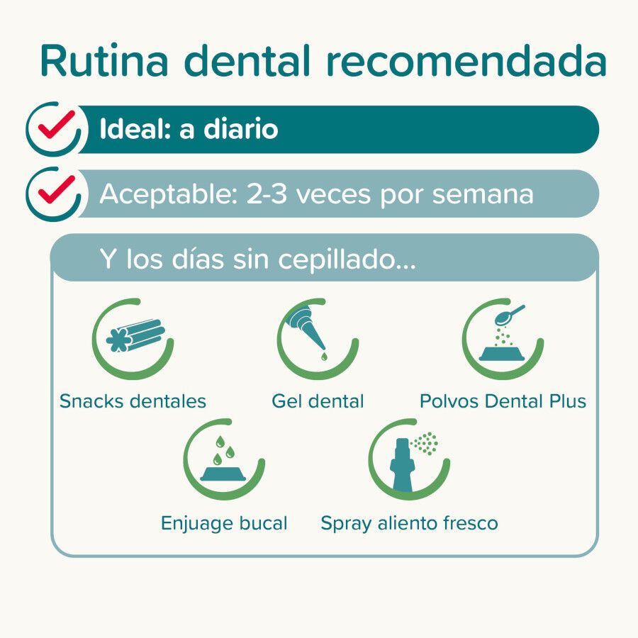 Beaphar Creme dental com hortel&atilde; e salsa para c&atilde;es e gatos, , large Imagem n&uacute;mero 7