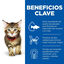 1.5 kg Hill's Kitten Science Plan Atum ração, , large Indicador imagem número 4