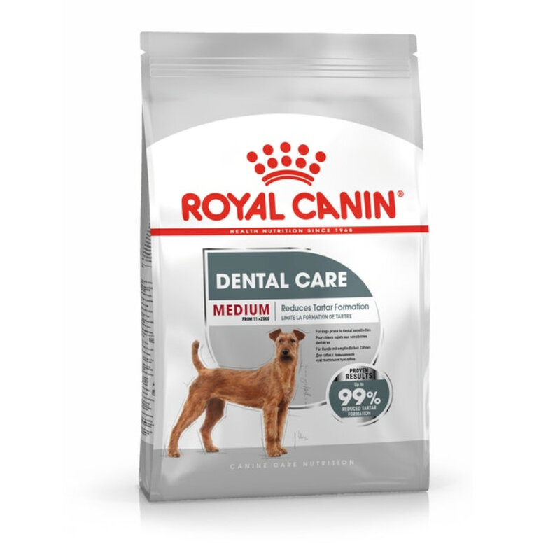 Royal Canin Medium Dental Care ração para cães, , large image number null