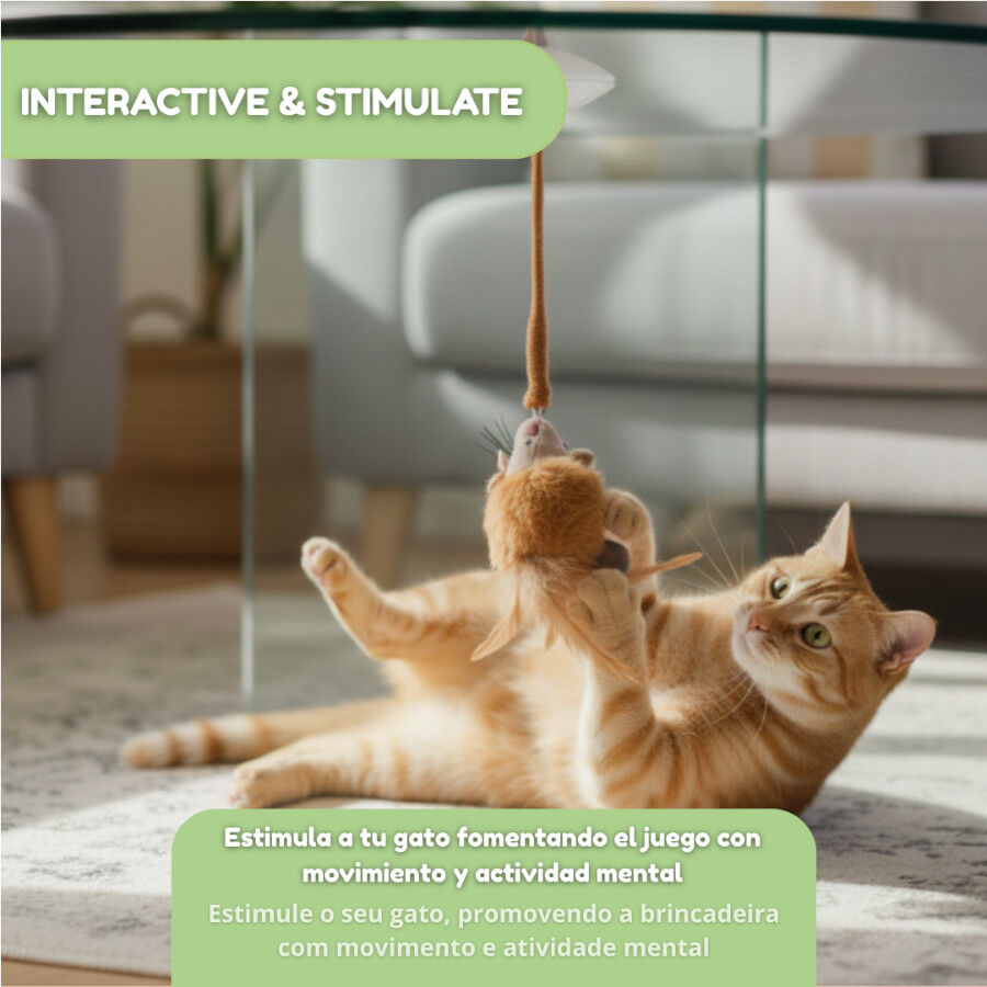 Tootoy! Interactive & Stimulate Rato com Pega para gatos, , large Imagem n&uacute;mero 5