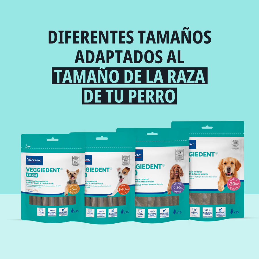 15 sticks Virbac Snacks Dent&aacute;rios VeggieDent Fresh para c&atilde;es mini, , large Imagem n&uacute;mero 4