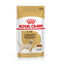 140 g Saquetas Royal Canin Labrador 140g, , large Indicador imagem número 1