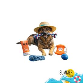 Summer Vibes The Beach Club Set x5 Brinquedos para c&atilde;es