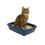 Nice Care caixa de areia azul para gatos, , large Indicador imagem número 1