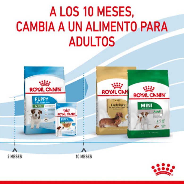 Royal Canin Mini Puppy ração para cães, , large image number null