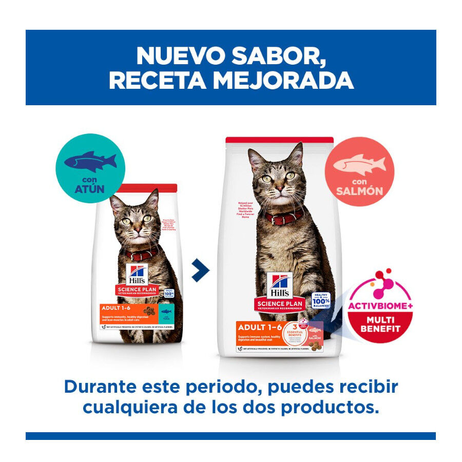 7 kg Hill's Science Plan Adult Ra&ccedil;&atilde;o de salm&atilde;o para gatos, , large Imagem n&uacute;mero 3