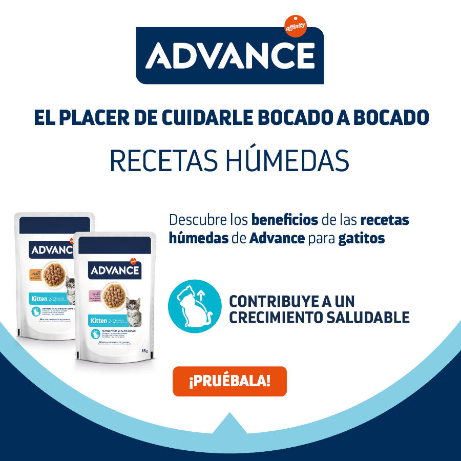 12 saquetas x 85 g (9 + 3 gratis!) Advance Kitten Frango Saqueta em Molho, , large Imagem n&uacute;mero 4