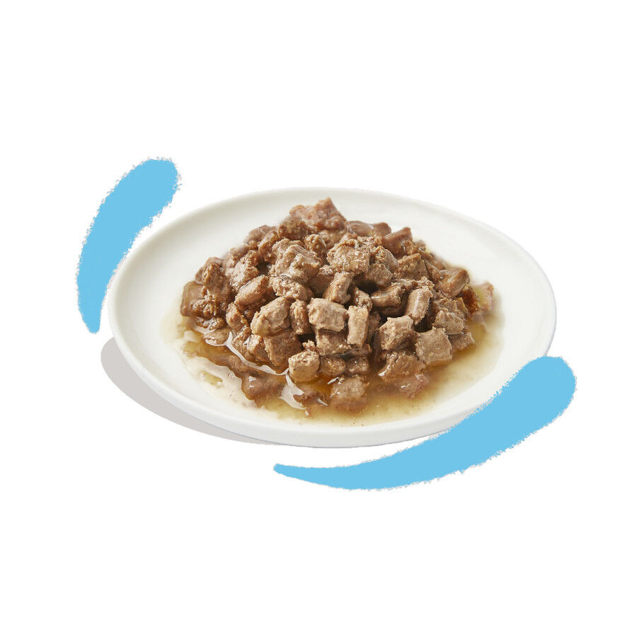 85 g Edgard & Cooper Alimento h&uacute;mido de frango em lata para gatos, , large Imagem n&uacute;mero 2