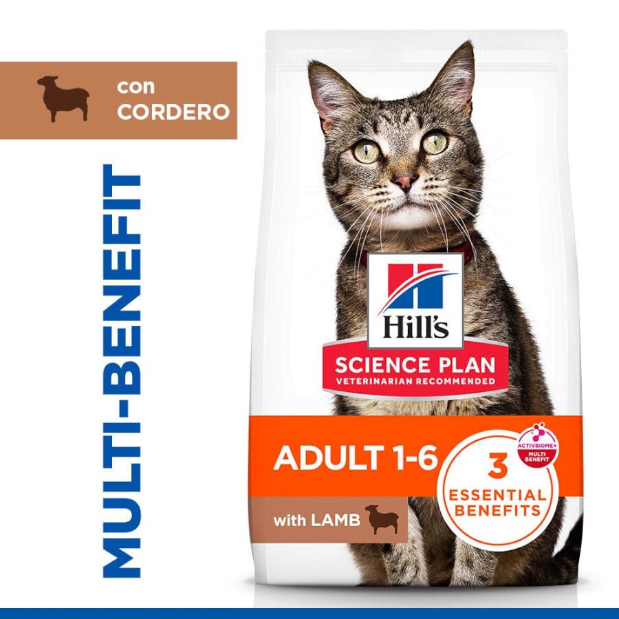 10 kg Hill's Adult Science Plan Cordeiro ra&ccedil;&atilde;o para gatos, , large Imagem n&uacute;mero 2