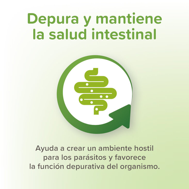 Beaphar VERMIpure Repelente Interno Natural em comprimidos para gatos e gatinhos,  Imagem número 5 Beaphar VERMIpure Repelente Interno Natural em comprimidos para gatos e gatinhos, , large Imagem número 5