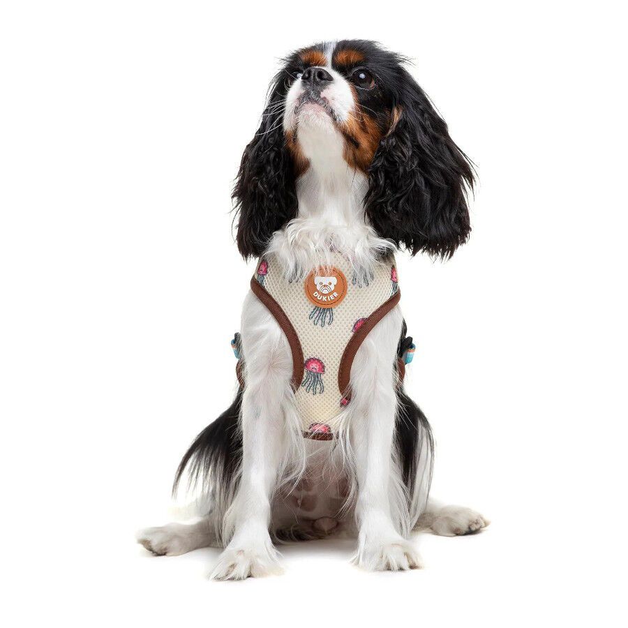 Dukier Peitoral revers&iacute;vel com estampado de tartaruga para c&atilde;es, , large Imagem n&uacute;mero 3