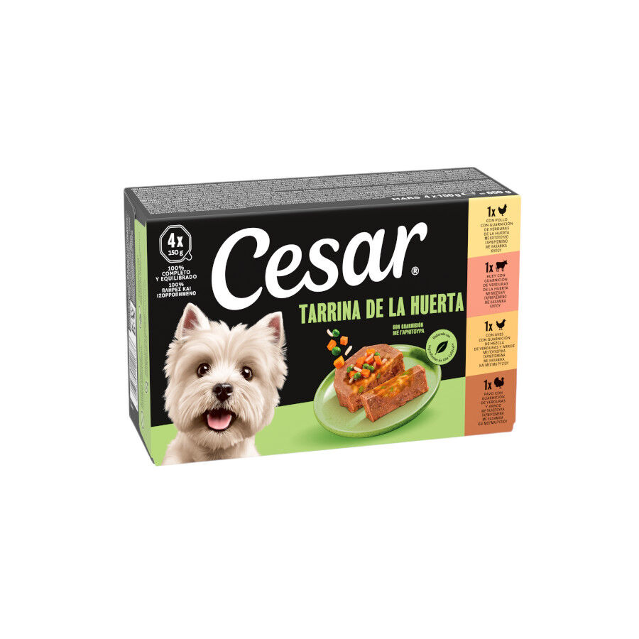 4 terrinas x 150 g Cesar Recetas da horta Terrina em Pat&ecirc; e Geleia para C&atilde;es - Multipack, , large Imagem n&uacute;mero 1