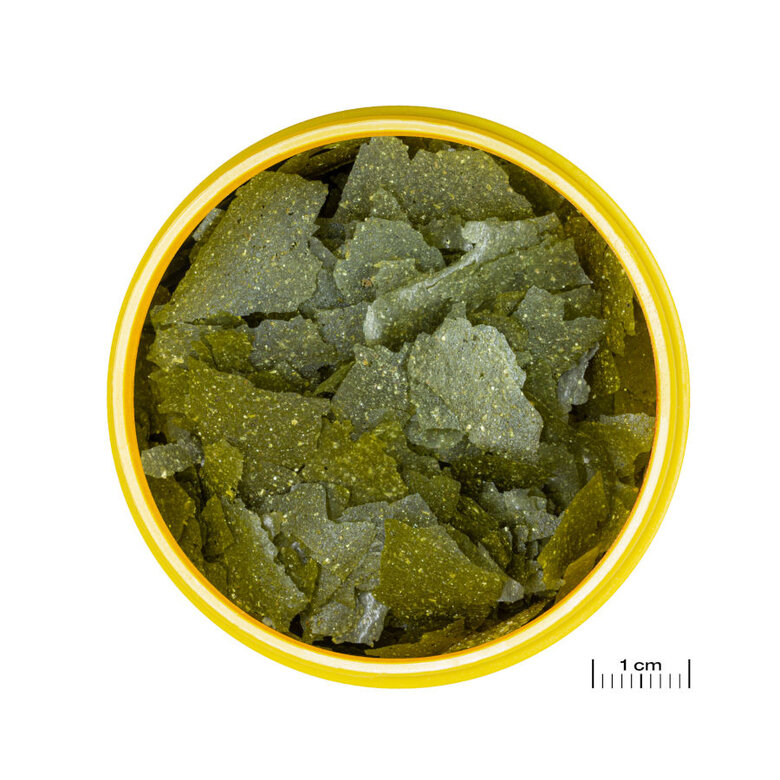 JBL Spirulina Alimento para peixes algueiros,  Imagem número 2 JBL Spirulina Alimento para peixes algueiros, , large Imagem número 2