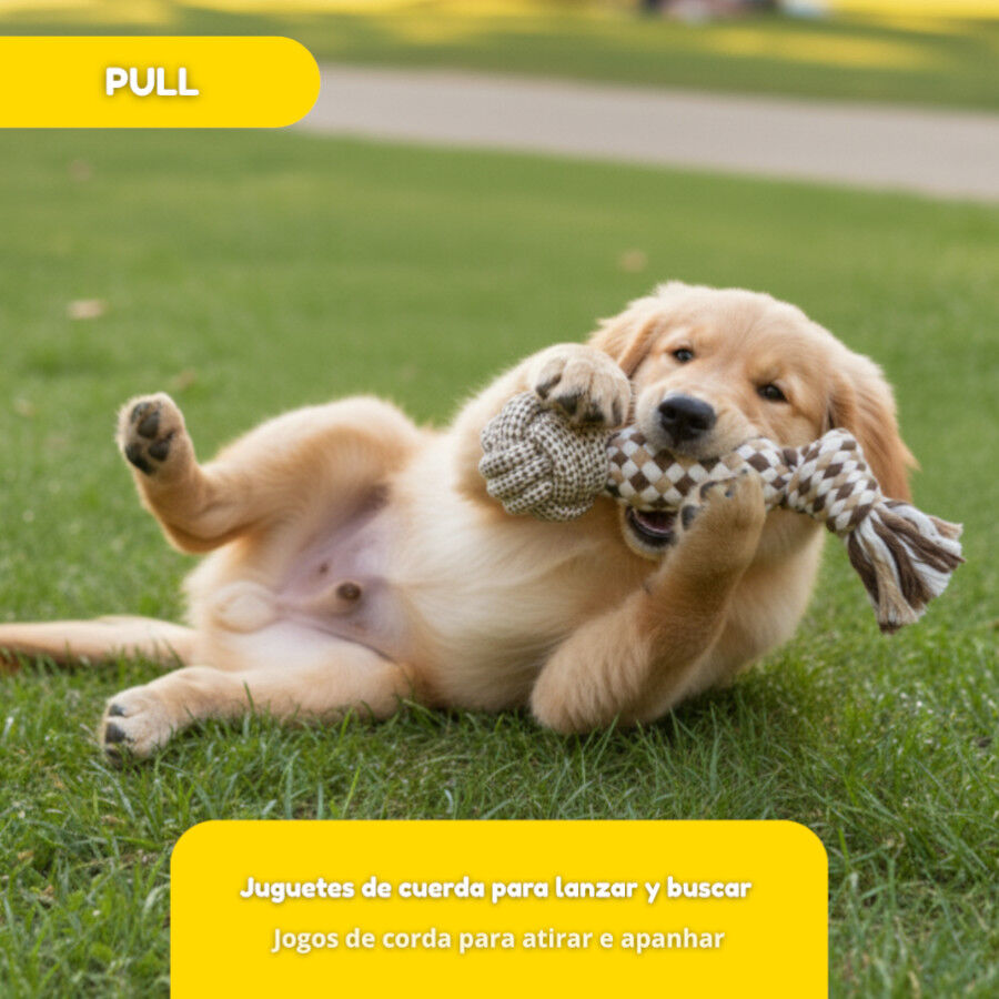 Tootoy! Pull Bola com apito e corda para c&atilde;es, , large Imagem n&uacute;mero 5