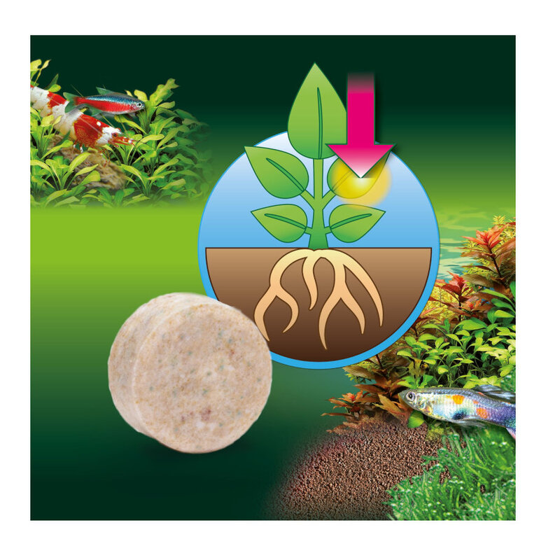 JBL Proflora Ferropol Comprimidos de fertilizantes vegetais para aquários de água doce,  Imagem número 3 JBL Proflora Ferropol Comprimidos de fertilizantes vegetais para aquários de água doce, , large Imagem número 3