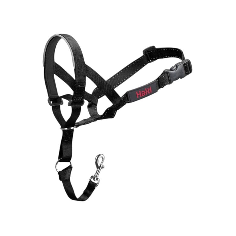Halti Coleira anti-puxão para cão,  Imagem número 4 Halti Coleira anti-puxão para cão, , large Imagem número 4