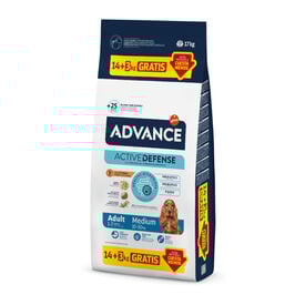 Advance Active Defense Medium Adult Frango e Arroz ração para cães