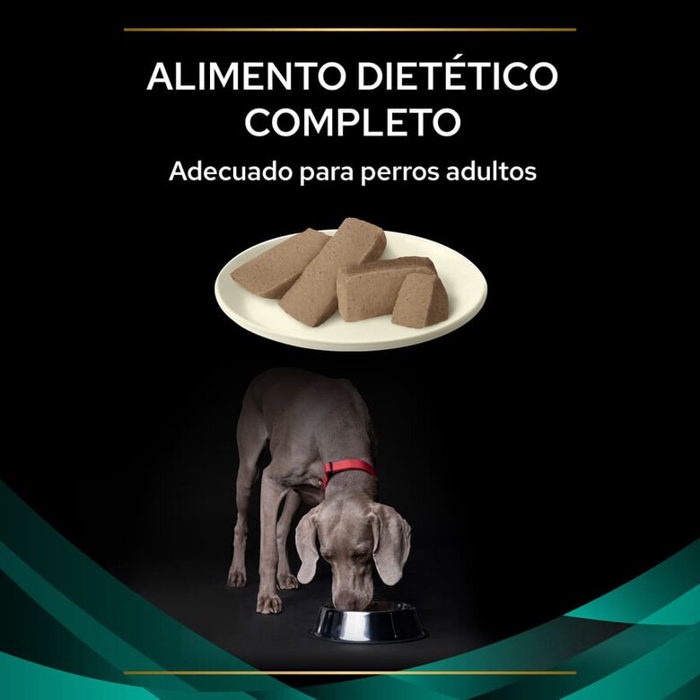 Pro Plan Veterinary Diets Gastrointestinal latas para cães - Pack 12 , , large image number null