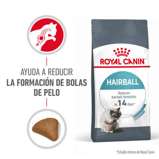 Royal Canin Intense Hairball ração para gatos bolas de pelo