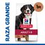 2 x 14 kg Hill's Science Plan Adult Large Cordeiro ração para cães Pack poupança!, , large Indicador imagem número 2