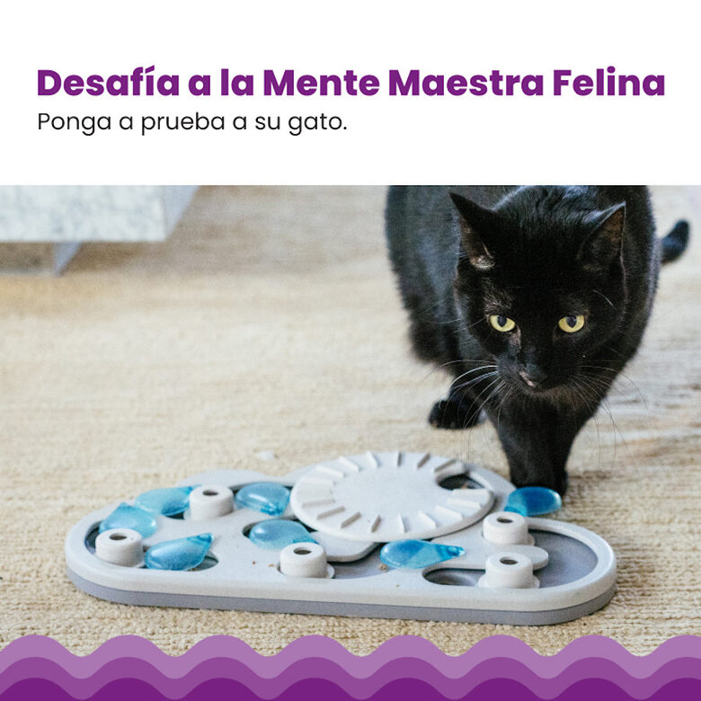 Catstages Nina Ottosson Puzzle & Play Rainy Day Brinquedo de Inteligência para gatos,  Imagem número 3 Catstages Nina Ottosson Puzzle & Play Rainy Day Brinquedo de Inteligência para gatos, , large Imagem número 3